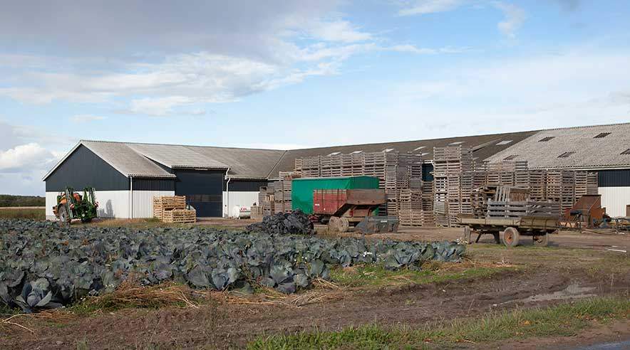 Gartneriet Gregersen Grønt er under tvangsopløsning, men det nordfynske frilandsgartneri kører videre i et andet selskabsnavn: Kjærbye Grønt.