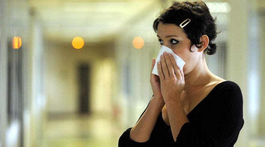 Det er vigtigt med et godt indeklima på arbejdspladsen, hvis du døjer med pollenallergi.  (Foto: Colourbox)