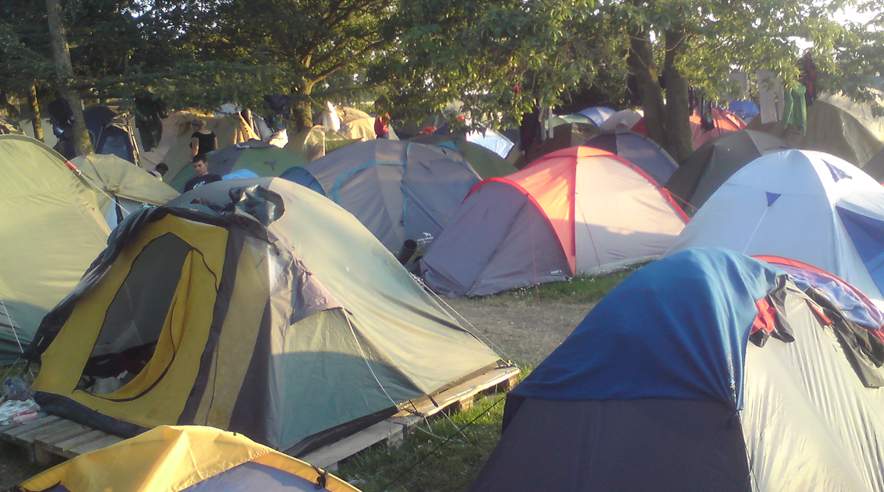 Over 100 østeuropæiske jordbærplukkere bor i telte nær døde svin.