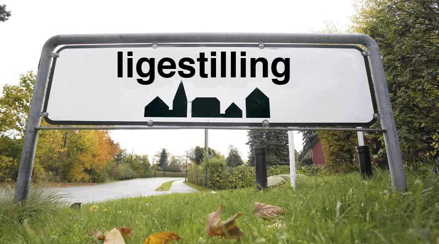 Der er afsat seks millioner kroner om året til det nye uafhængige ligestillingsorgan. Det er langt under niveauet i de andre nordiske lande. (Arkivfoto)