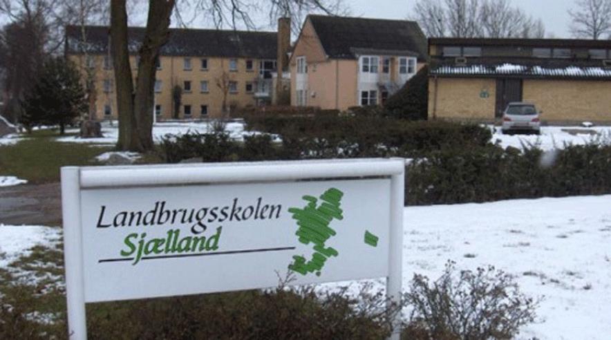 21 udenlandske elever på Landbrugsskolen på Sjælland fik ikke mulighed for at gøre uddannelsen færdig, fordi skolen ikke tilbød andet modul på engelsk. (Foto: Scanpix)