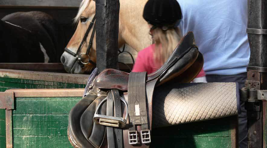 16-årig staldpige tjente 3,50 kroner i timen under slavelignede forhold på sønderjysk ridecenter.
 (Arkivfoto.)