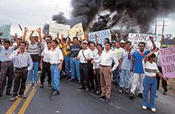 Utilfredse bananarbejdere blokerer den pan-amerikanske landevej i Ecuador i protest mod Tvind. Nu kræver de indflydelse på landets forfatning. (Søren Zeuth)