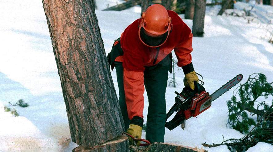 Hvad er den rette beklædning, når man arbejder i vinterkulden? Det er blandt andet en god idé at tage en varm drik med til at varme sig på. (Foto: Colourbox)