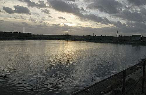 En af de fodboldbanestore gyllelaguner ved den danske svinefarm Poldanor, som Fagbladet afslørede 18. november 2004.