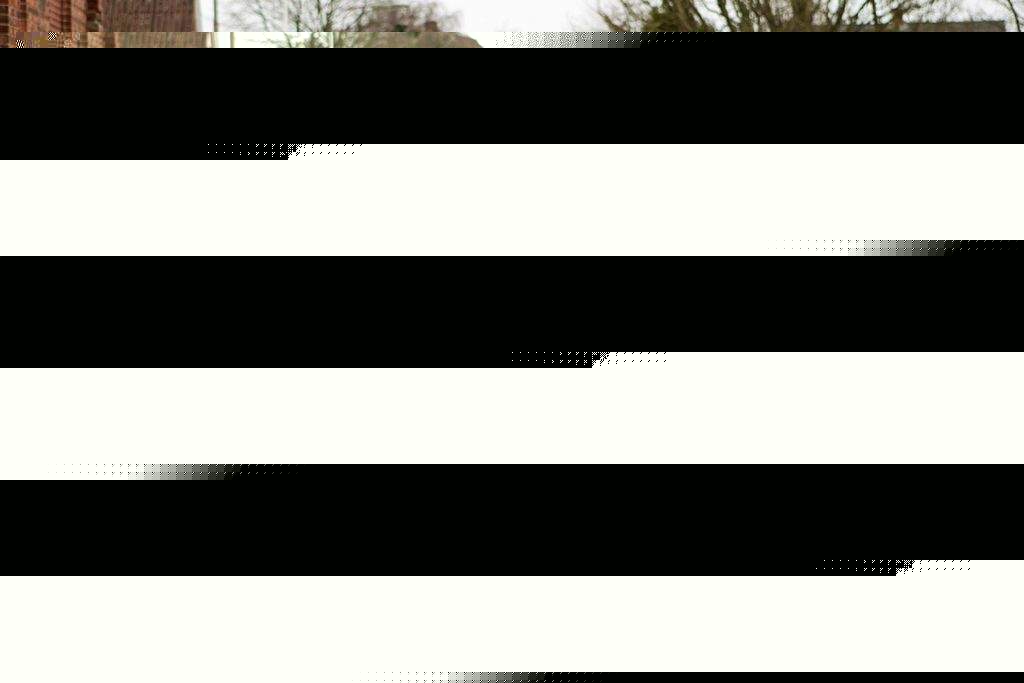 Til sammen fik ægteparret 3.000 - 6.000 kroner om måneden for arbejdet i Kjærs Tivoli