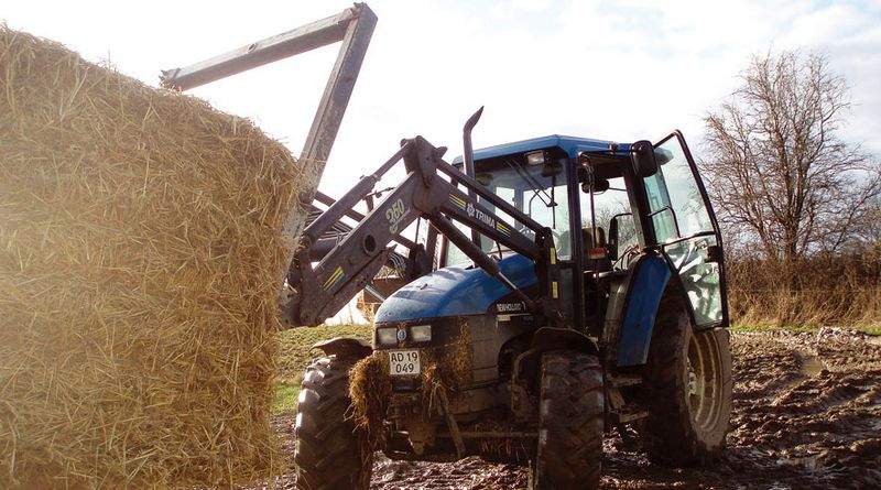 Noget af det sjoveste er at køre traktor. ((Foto: Lena Nielsen))