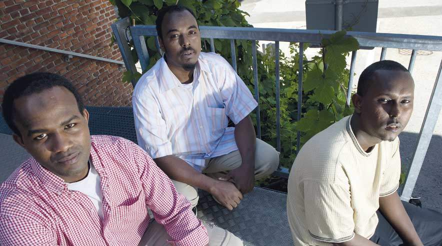 Dejligt at mus, der råber op, kan vinde over elefanten, siger (fra venstre) Omaru Sylla, Khadar Nuur og Mohamed Ahmed. (Foto: Lars Horn)